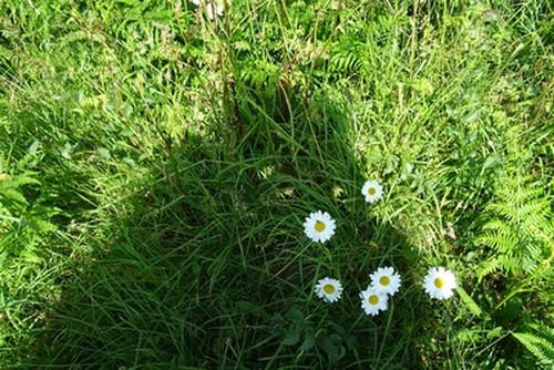 DSC00001 (Copier) (Copier)