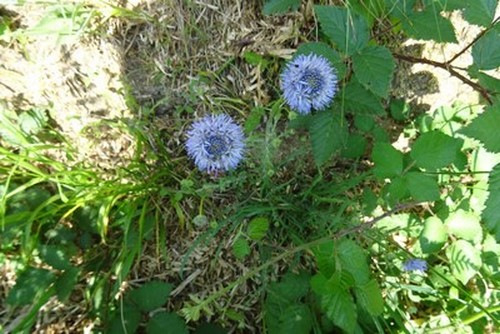 DSC00004 (1) (Copier) (Copier)