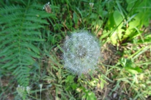 DSC00007 (1) (Copier) (Copier)