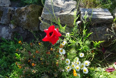 DSC00014 (1) (Copier)