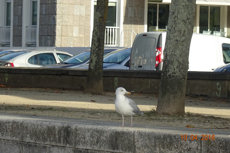 dsc00660-copier