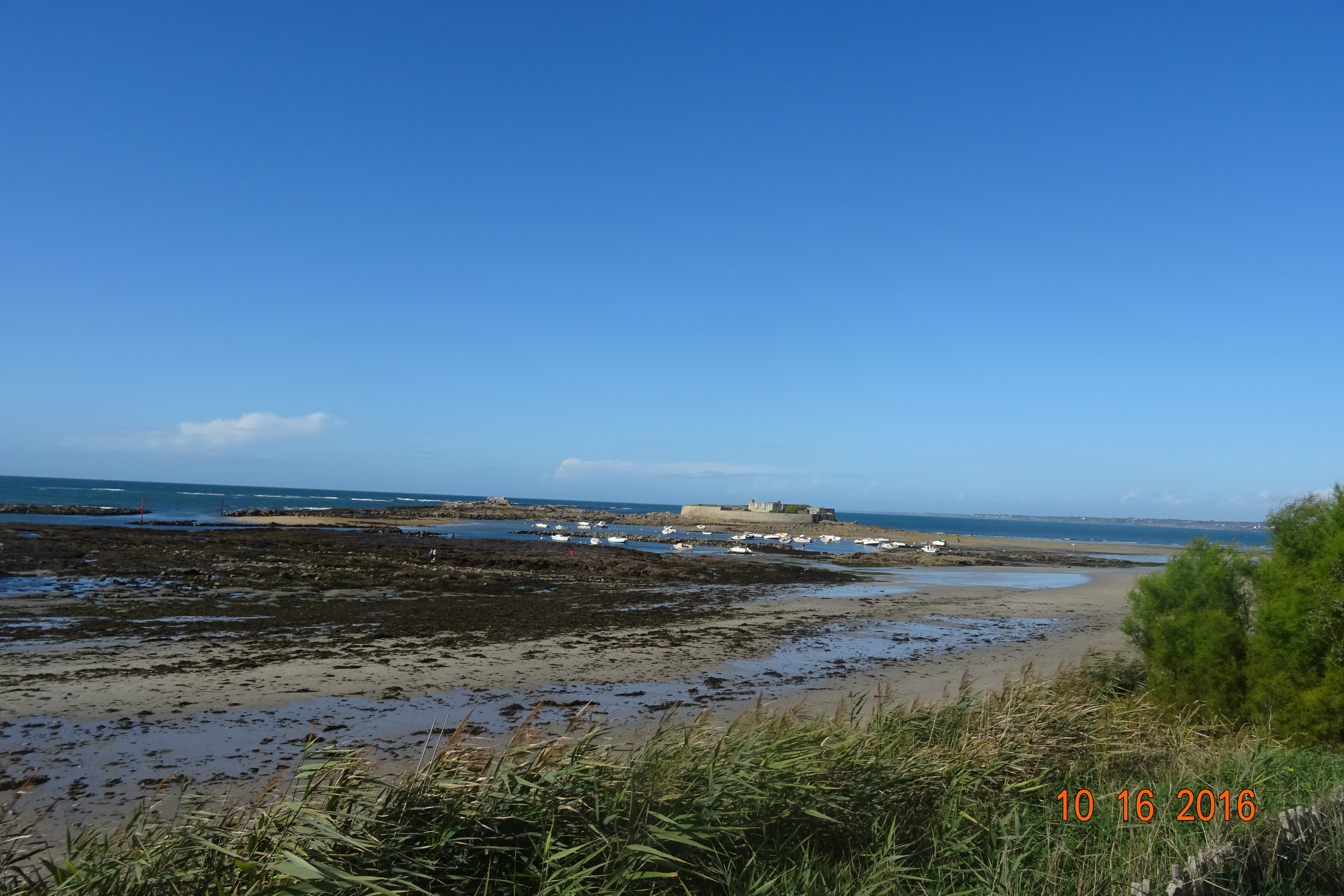 dsc00737