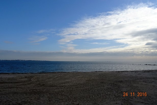 DSC00950 (2).JPG
