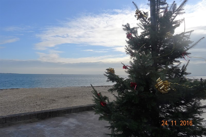 DSC00953 (Copier).JPG