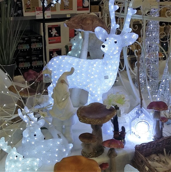 20161130_184142 (Copier).jpg