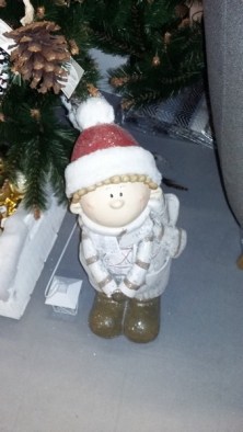 20161130_184252-copier