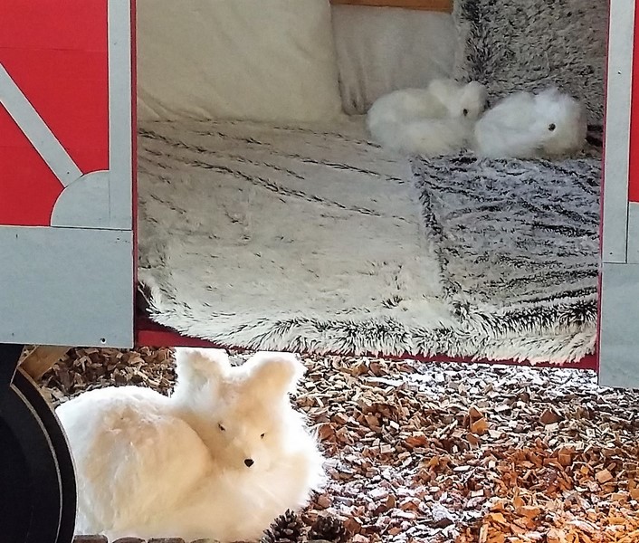 20161201_123333-copier