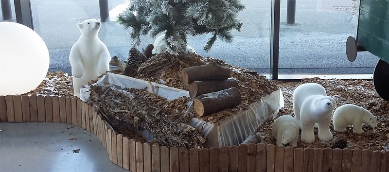 20161201_123344-copier