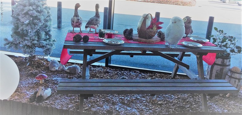 20161201_123402-copier