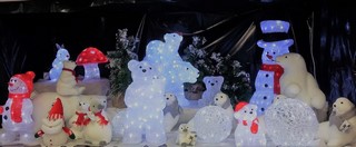 20161208_103651-copier-copier