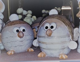 20161208_112034-copier-copier