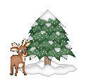 noel%2017