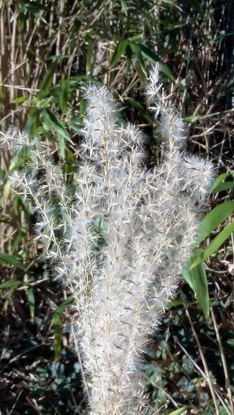 20161229_121037-copier