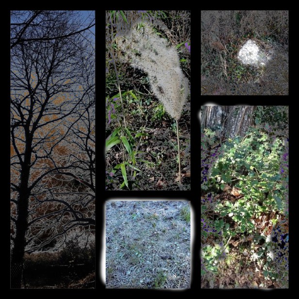2017-01-1-10-47-47