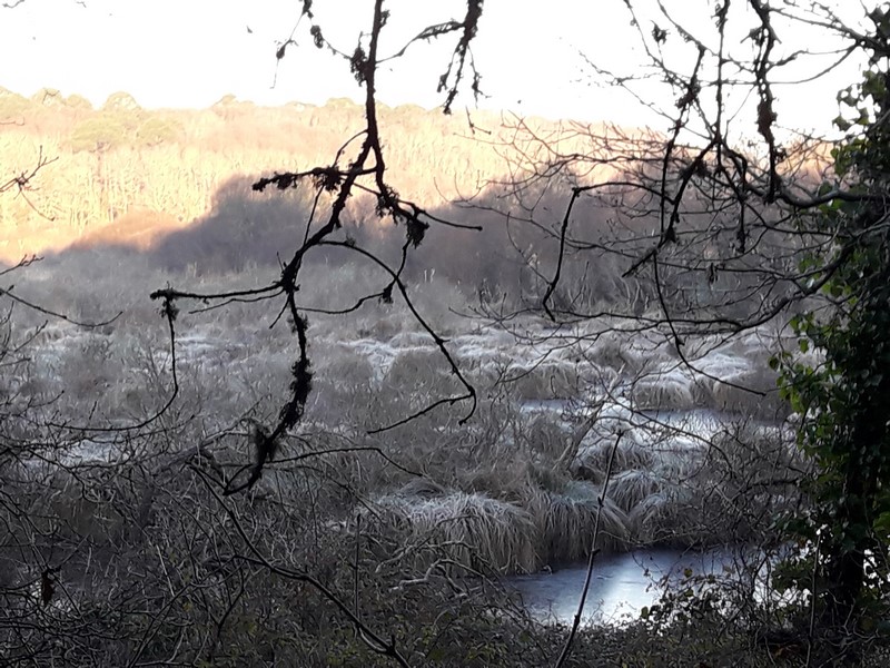 20170124_092253-copier