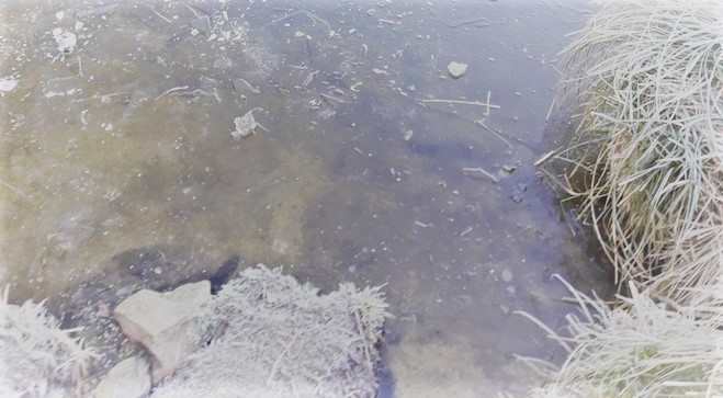 20170124_092906-copier