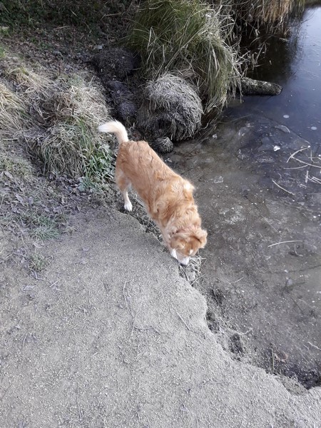 20170124_092942-copier