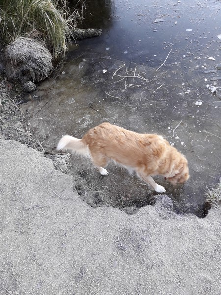 20170124_092954-copier