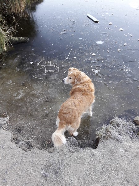 20170124_093009 (Copier).jpg