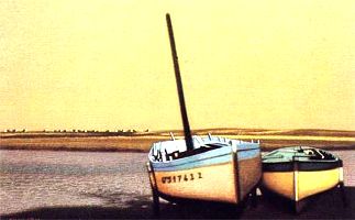 Barques1.jpg