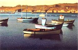 Barques2.jpg