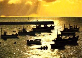 boote10