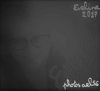 2017-02-1-18-26-02_li-copier-2