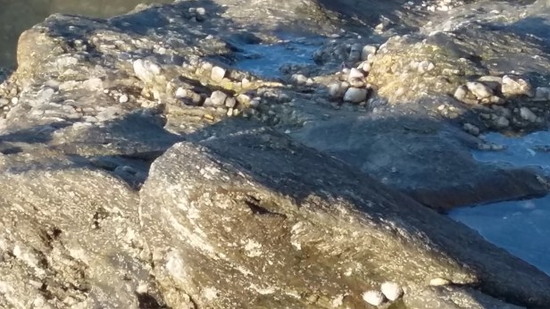 20170210_100058.jpg