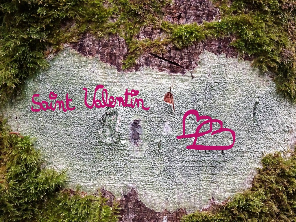 Saint Valentin