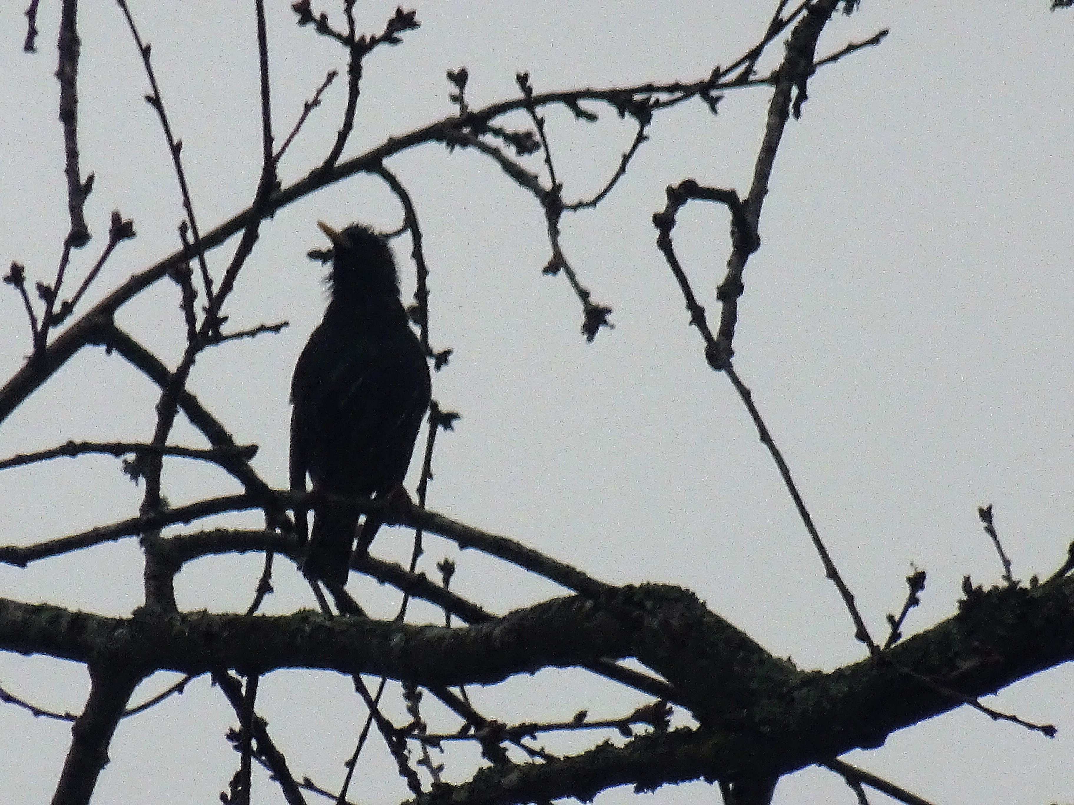 DSC00237.JPG