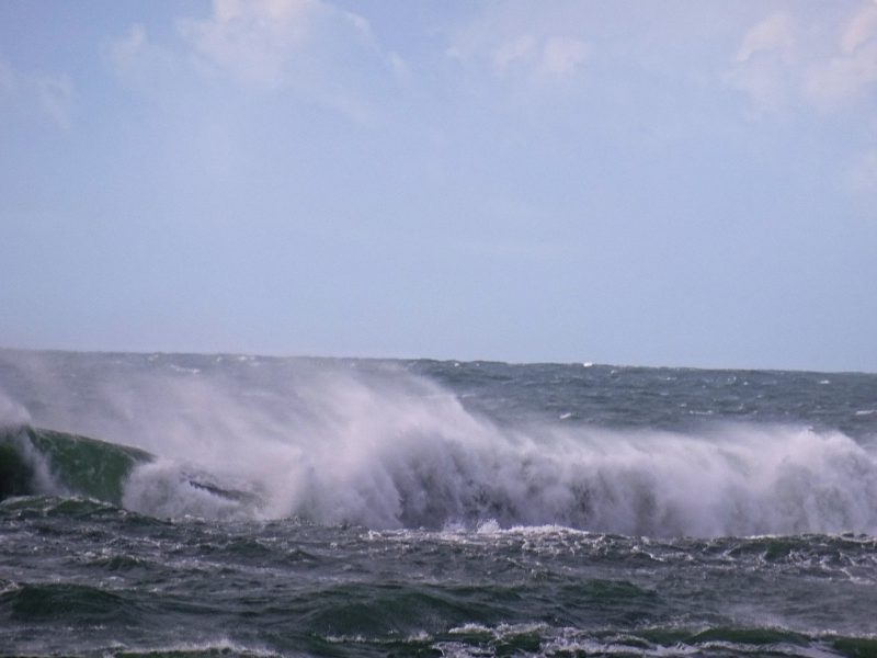 dsc00294