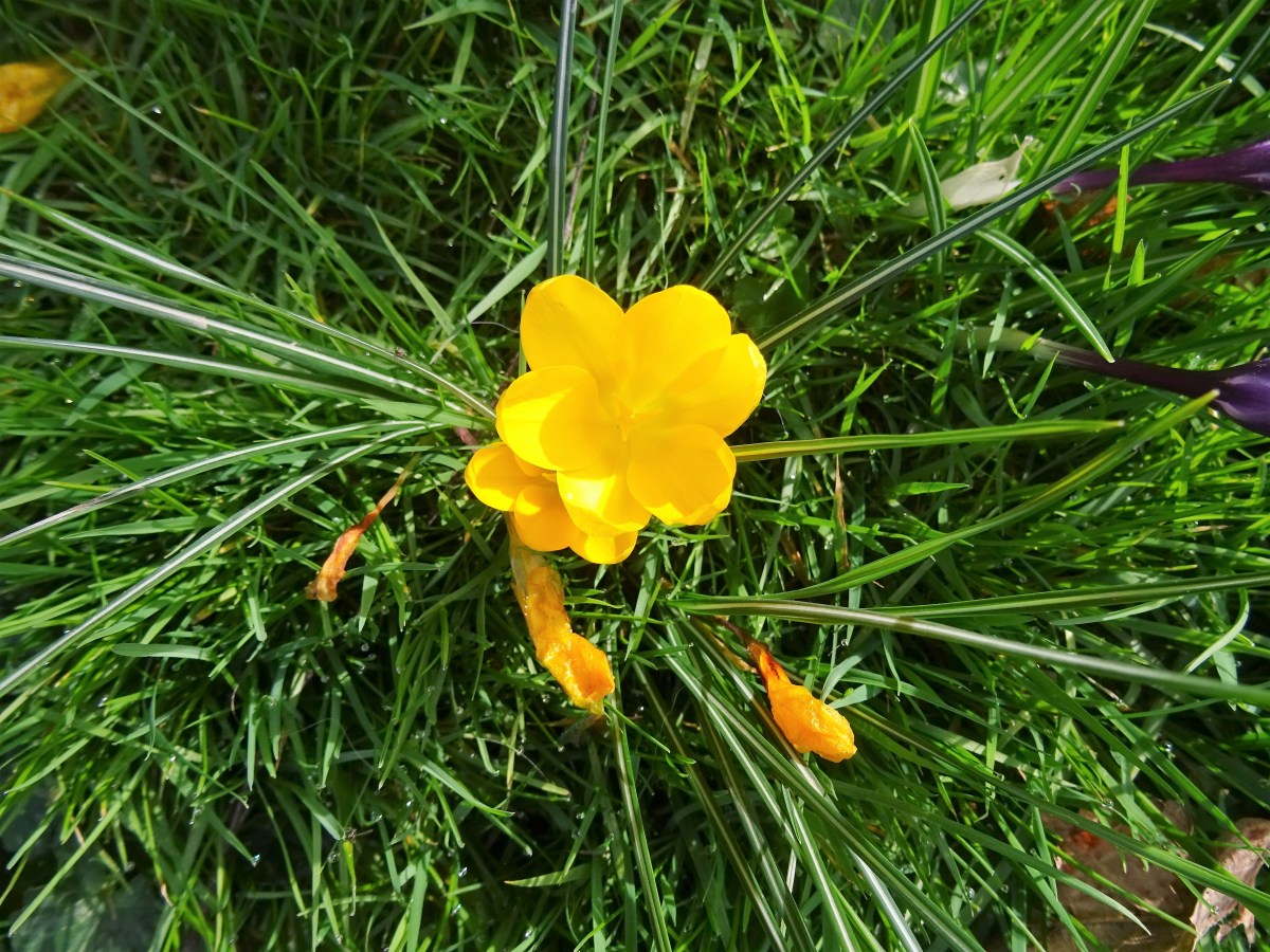 Note jaune          &laquo;&nbsp;MELEN&nbsp;&raquo;