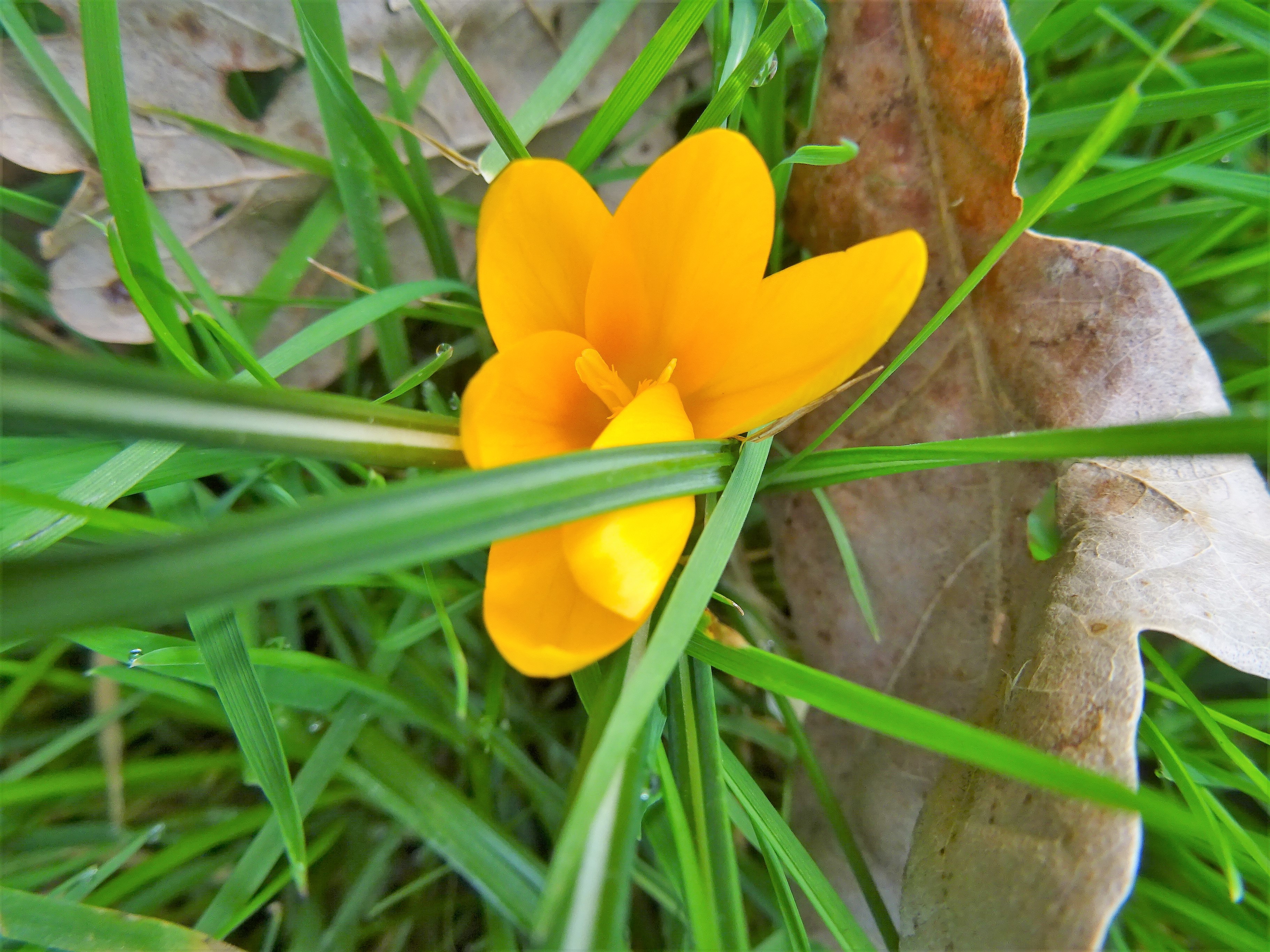 DSC00330.JPG
