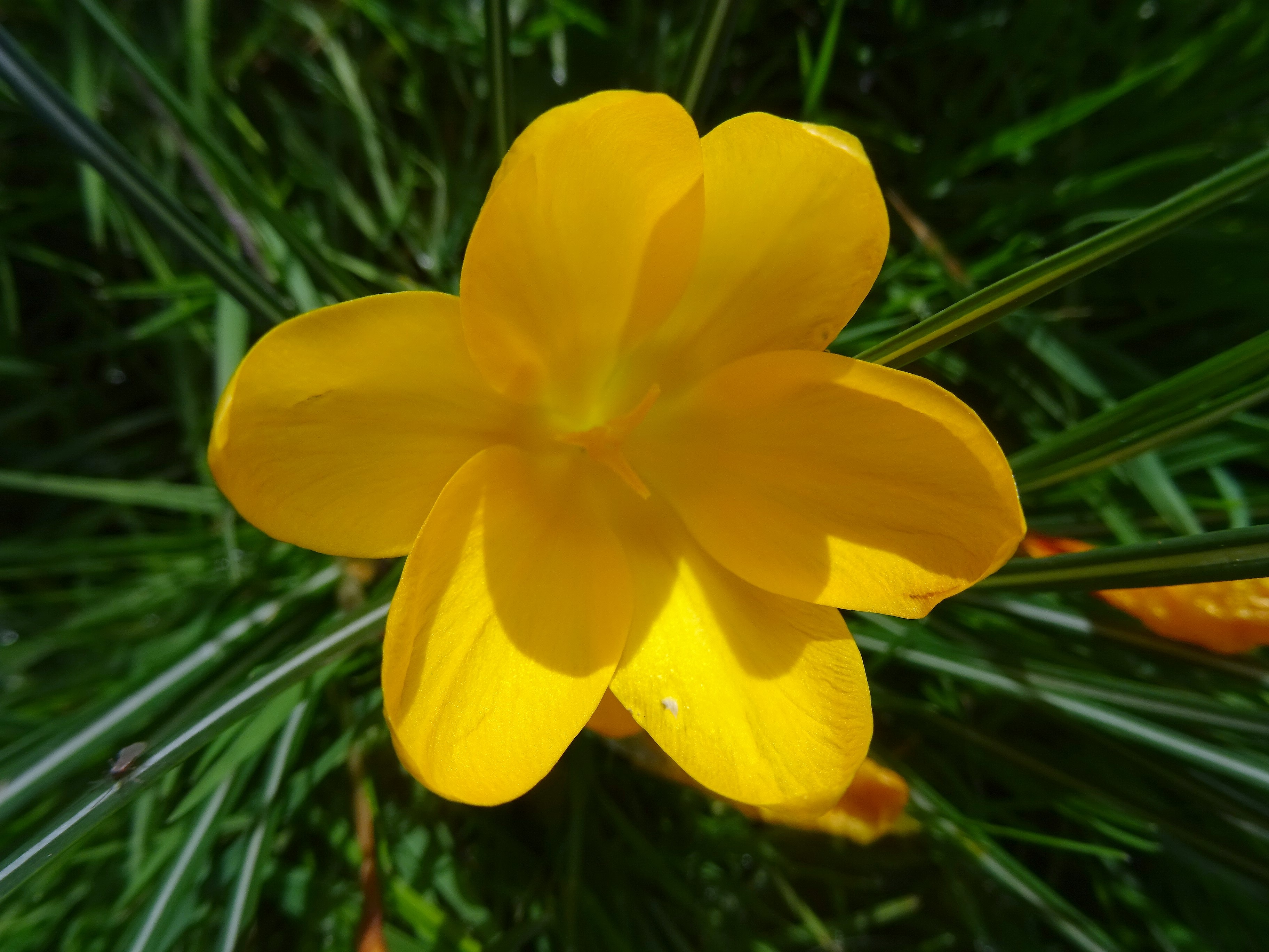 DSC00332.JPG
