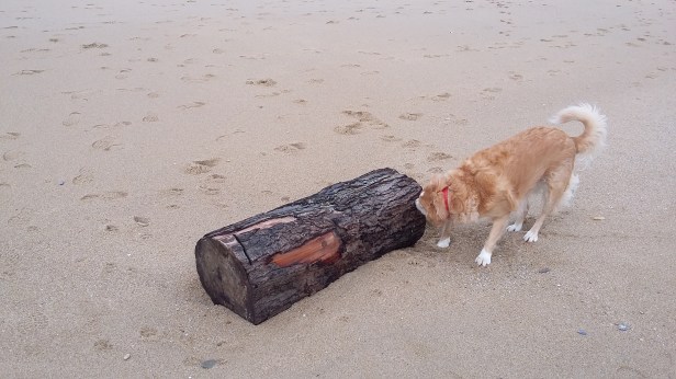 20170311_112602.jpg