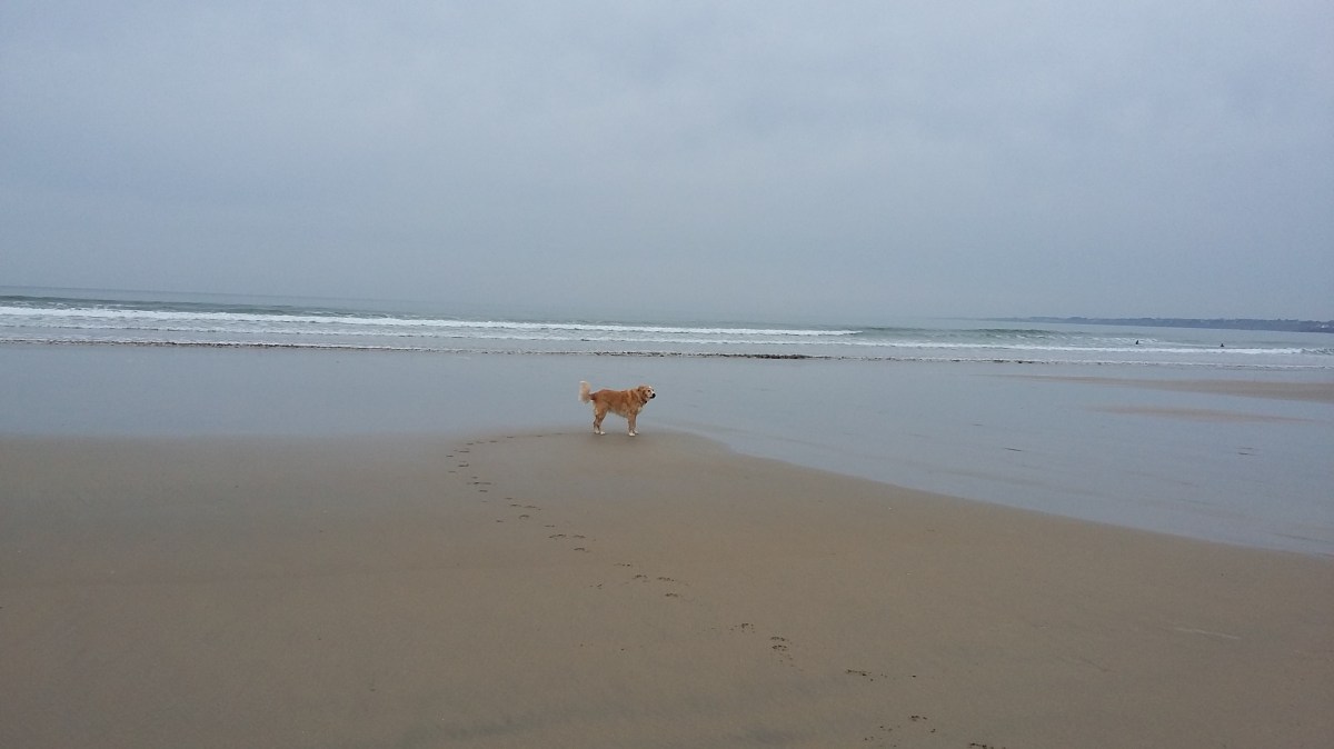 Malzenn à la plage&nbsp;…..