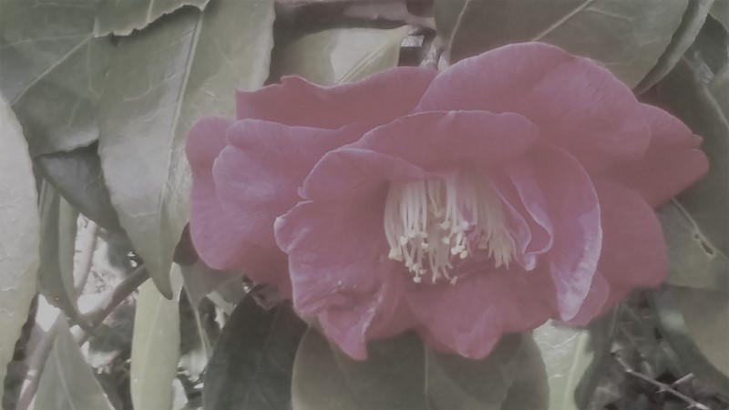 20170322_155301 (Copier)