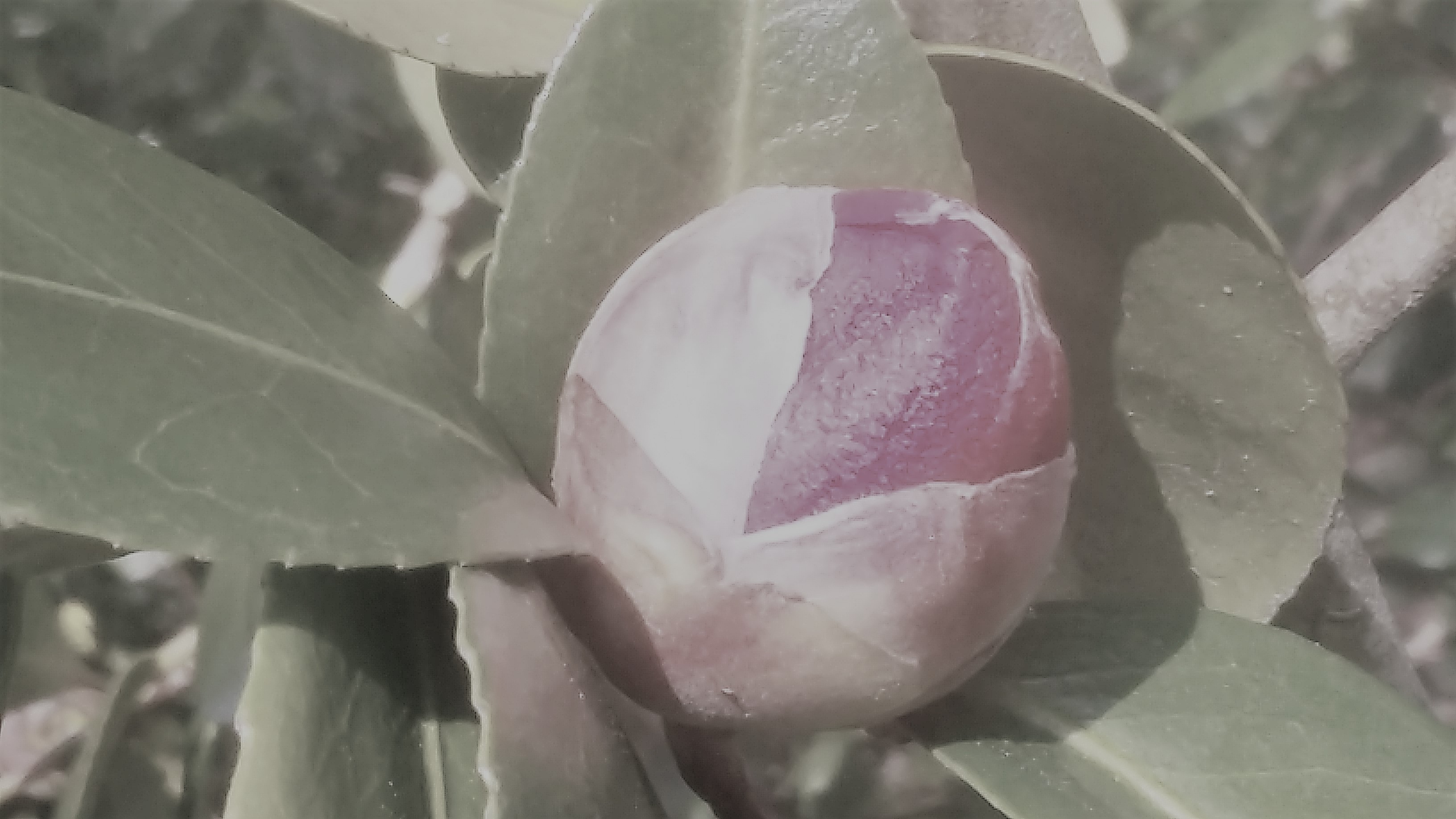 20170322_155320