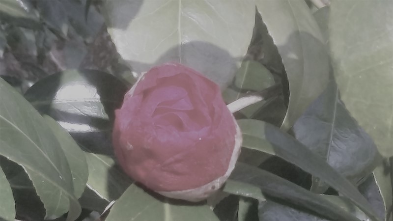 20170322_155333 (Copier)