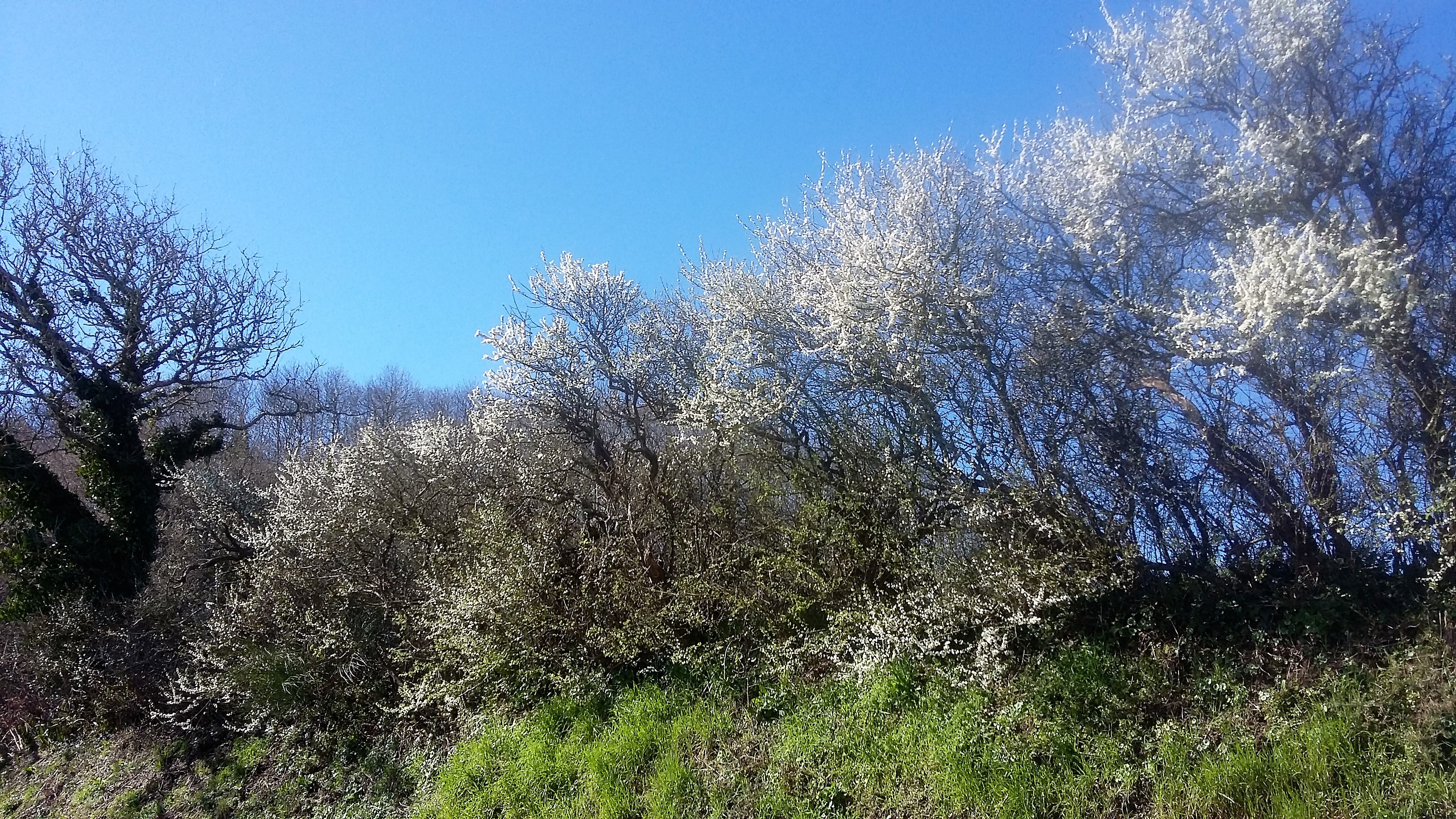 20170324_111613.jpg