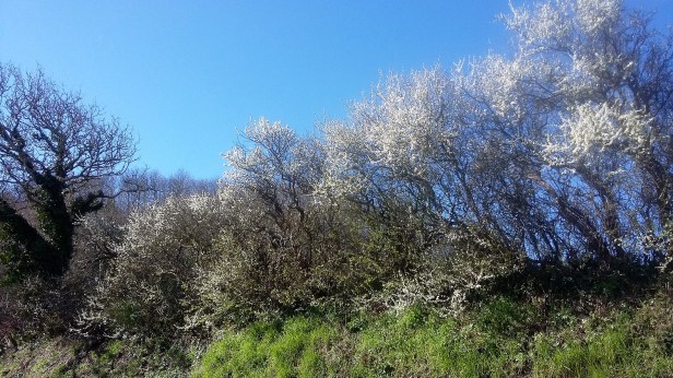 20170324_111613.jpg