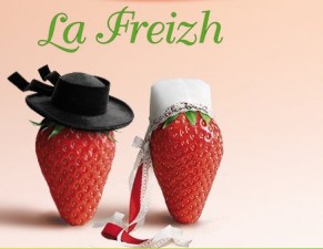 saveol_gariguette_plougastel_freizh_070409-291x225