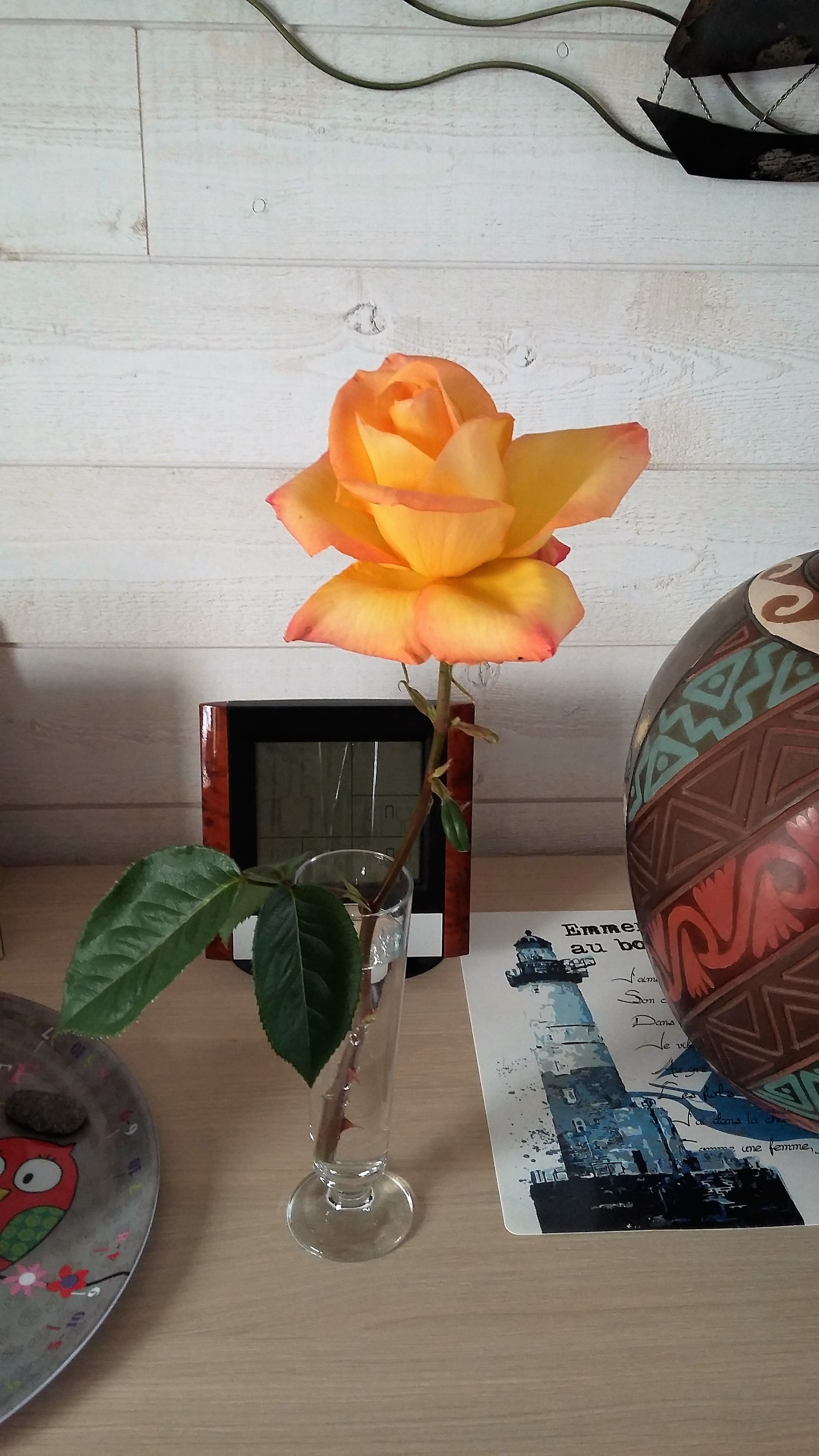 20170504_125127.jpg