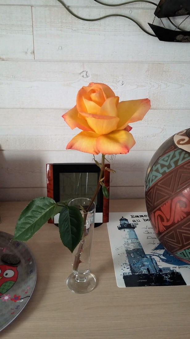 20170504_125127.jpg