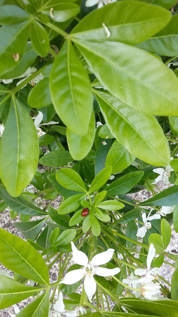 20170510_142406 (5)