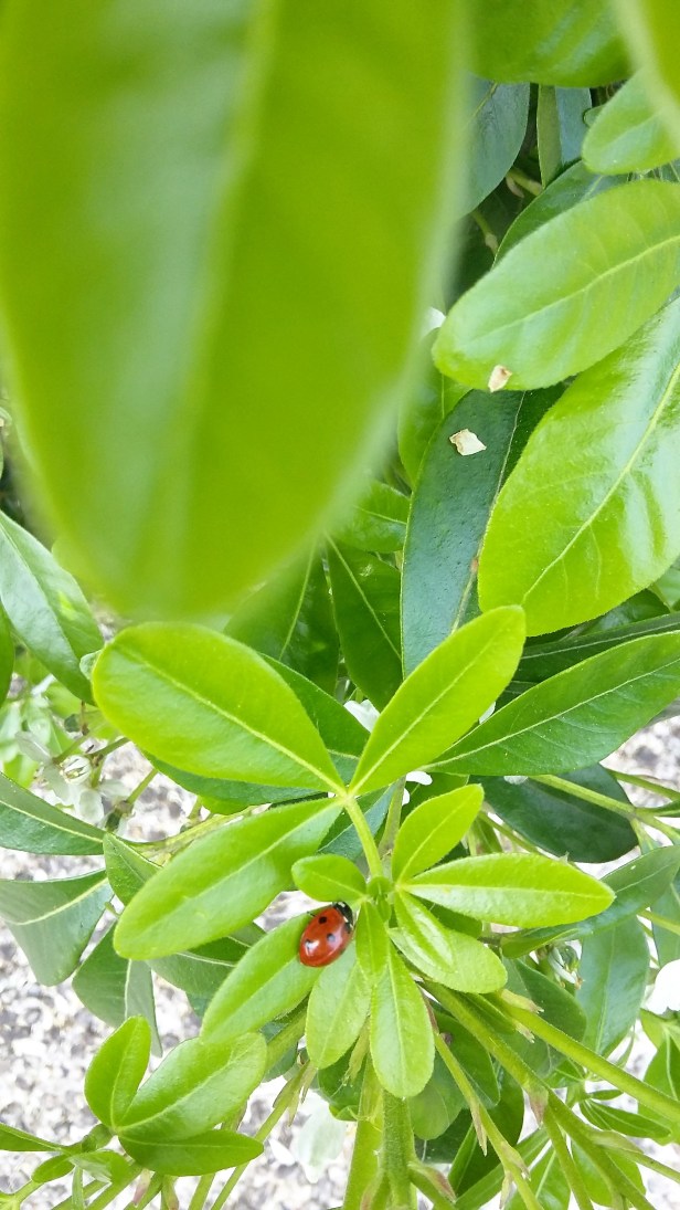 20170510_142413