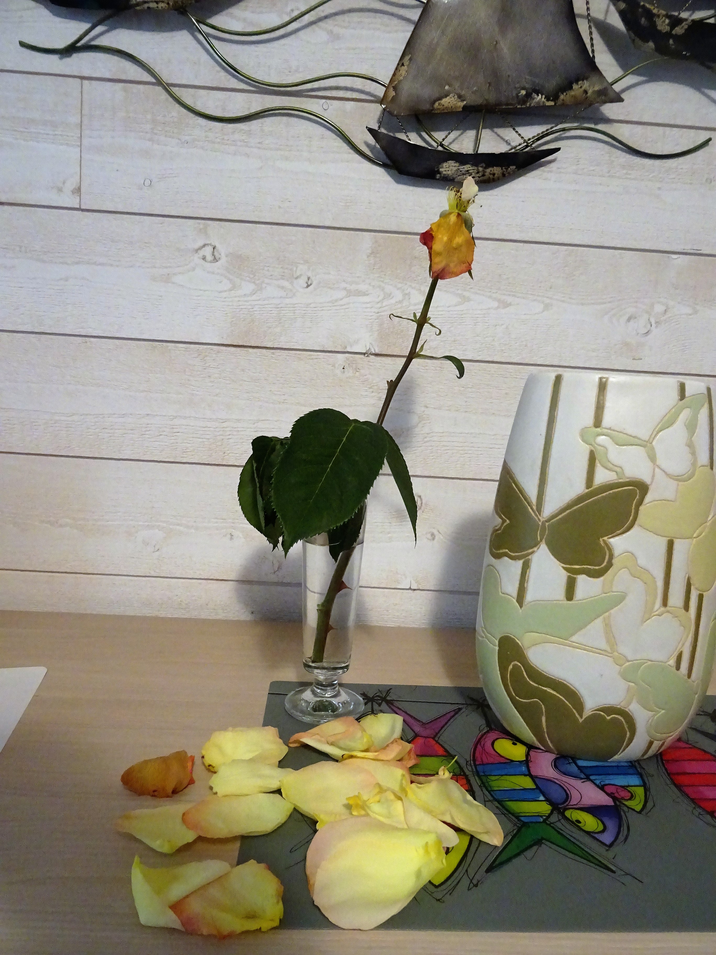 DSC00705.JPG