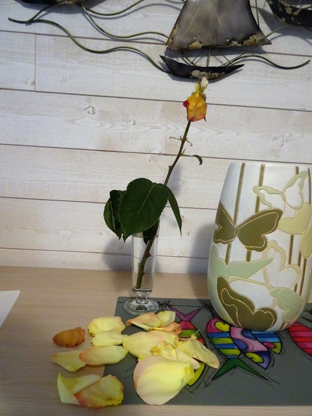 DSC00705.JPG