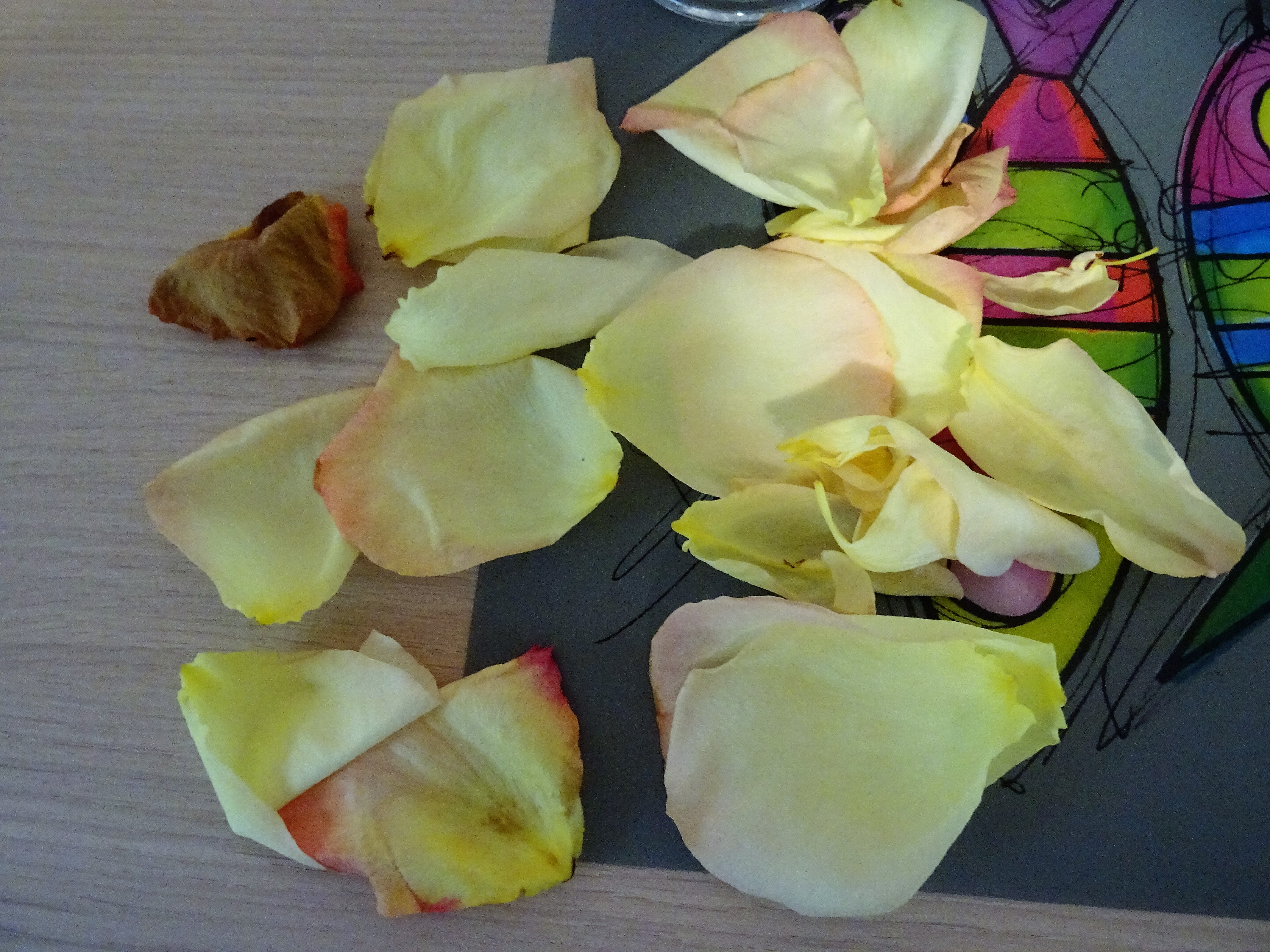 DSC00706