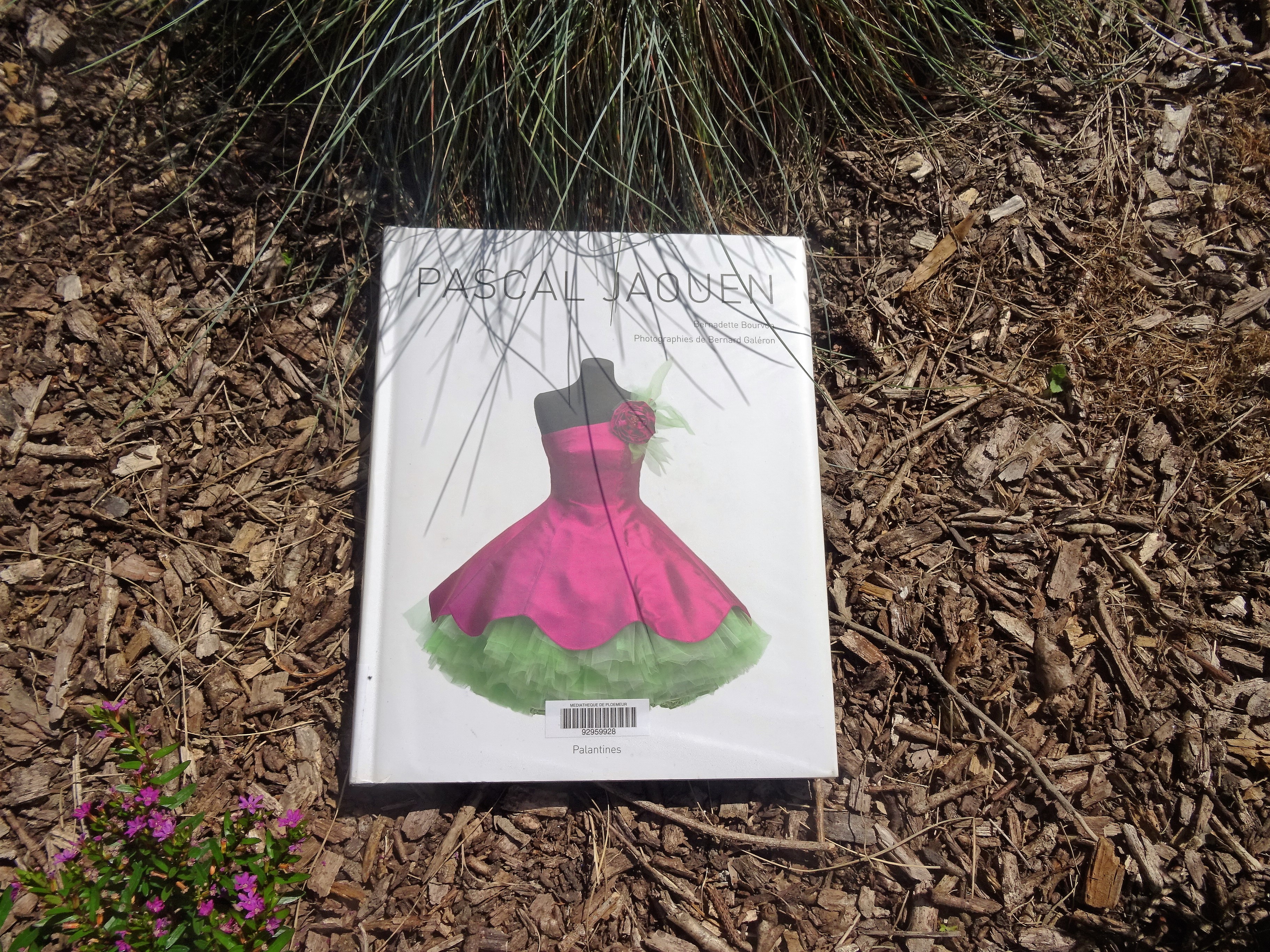 DSC00790.JPG